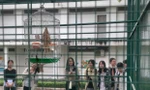 Sinh viên trường ĐH KHXH&NV (ĐHQG TP. HCM) mê tít với 'vườn thú nhỏ' trong khuôn viên trường