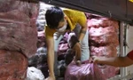 Giúp nông dân Vĩnh Long tiêu thụ khoai lang tím ùn ứ vì dịch COVID