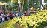 Festival Hoa lan TP. HCM lần 3 sẽ diễn ra từ ngày 16 đến 20/5 