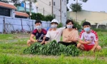 “Vườn rau nghĩa tình mùa dịch” của bốn chàng sinh viên Bách khoa