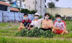 “Vườn rau nghĩa tình mùa dịch” của bốn chàng sinh viên Bách khoa
