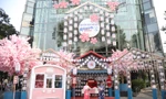 Rực rỡ với rừng hoa anh đào giữa trung tâm thương mại lớn ở TP. HCM