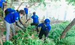 Thành Đoàn TP. HCM sôi nổi ra quân chương trình ‘Chủ nhật Xanh' lần thứ 150