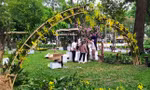 'Rừng lan' được trưng bày trong ‘Festival Hoa lan lần II’ sẽ là dịp cho bạn trẻ Sài Gòn check-in