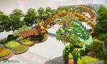 Đường hoa Nguyễn Huệ Tết Giáp Thìn 2024 với nhiều kỷ lục mới sẽ hút đông đảo các bạn trẻ Sài Gòn