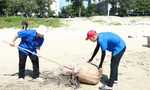 Hàng trăm sinh viên tham gia làm sạch biển tại TP. Vũng Tàu