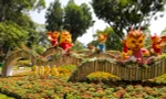 Hội Hoa Xuân TP. HCM Giáp Thìn khai mạc đón khách 