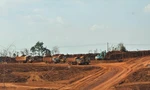 Kẹt giữa kho báu bô xít - kỳ 1: Nằm trên 'mỏ vàng' lớn nhất nước