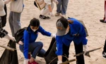 Bạn trẻ cùng du khách dọn rác trên bãi biển Đà Nẵng. Ảnh: T.T