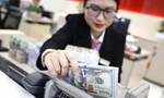 Nhiều doanh nghiệp lo tỷ giá căng thẳng trở lại. Ảnh: Như Ý