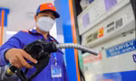 Xảy ra vi phạm pháp luật trong quá trình kê khai và nộp thuế bảo vệ môi trường đối với xăng dầu tại một số doanh nghiệp kinh doanh mặt hàng này