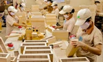 Nhiều DN chế biến xuất khẩu gỗ phải ngưng sản xuất do thiếu nguyên liệu