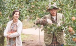 Bài dự thi “Ký ức mùa Hè của tôi”: Mùa Hè chưa đặt tên, nhưng kịp đặt vào bóng hình anh