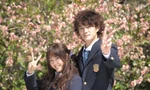Mối Tình Đầu Năm Ấy: Lời hứa hẹn gặp lại nhau vào mùa hoa gạo nở