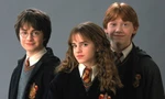 Harry Potter bản truyền hình dời lịch chiếu xa tít tắp, khán giả than trời vì quá lâu