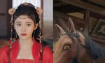 Không chỉ Cúc Tịnh Y trong “Gia Nam Truyện”, Triệu Lệ Dĩnh cũng từng cưỡi ngựa "pha ke"