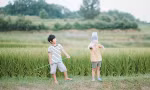 Ký ức mùa Hè của tôi: Cánh diều tuổi thơ không bao giờ biến mất, chắp cánh ước mơ tôi