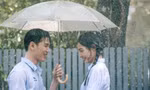 Ký ức mùa Hè của tôi: Bên cậu hai mùa Hè, nhớ mãi một mùa Hè có mưa rào đổ xuống