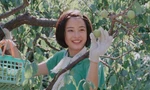 Ký ức mùa Hè của tôi: Nhớ dàn đồng ca của riêng mùa hạ, kẻ thì lạ người phải chia xa