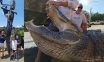 Cảnh sát biển vật lộn 4 giờ đồng hồ để bắt cá sấu khủng dài hơn 4 mét