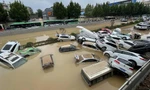 Ô tô bị ngập trong lũ ở nước ngoài liệu có về Việt Nam?