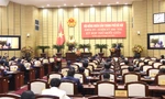 Quang cảnh kỳ họp HĐND TP chiều 29/3