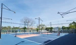 Hà Nội: Yêu cầu xử nghiêm tình trạng san lấp đất nông nghiệp để làm sân Pickleball 