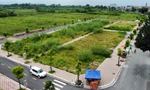 Cận cảnh 68 lô đất huyện ngoại thành vừa đấu giá cao ngất ngưởng