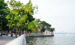 Hà Nội thành lập Ban Quản lý Hồ Tây