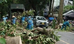 Hà Nội: Tập trung nhân lực thu dọn rác thải sau bão, không để phát sinh ô nhiễm