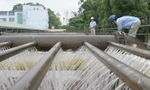 Nước sạch sông Đà được duyệt tăng giá bán buôn sau 11 năm bình ổn