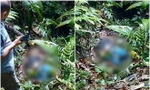 Phát hiện thi thể nam giới phân hủy trong rừng sâu Cao Bằng