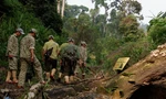 Cắm quân giữ rừng, ngăn 'vàng tặc' trở lại vườn quốc gia Sông Thanh