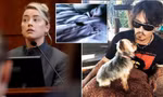 Amber Heard phủ nhận đại tiện trên giường ngủ