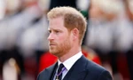 Hoàng tử Harry sắp tung cuốn hồi ký gây tranh cãi