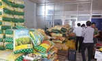Tràn lan thóc giống giả tại miền Tây