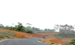 Chấm dứt chủ trương đầu tư dự án biệt thự ở Măng Đen do vướng đất rừng