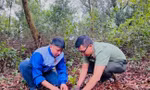 Thanh niên Pleiku và Công an tỉnh Gia Lai trồng hàng ngàn cây xanh