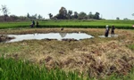Phát hiện thi thể bé trai 10 tuổi ở ao ruộng