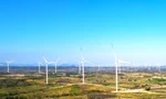 Thanh tra Chính phủ chỉ rõ sai phạm tại 5 dự án điện gió ở Gia Lai 