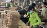 Nhiều DN ngành gỗ đang kêu cứu khi bị áp thuế vô lý từ mức 0% lên 25%. Ảnh: Bình Phương
