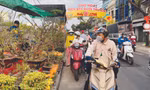 Chợ hoa “trên bến dưới thuyền” 