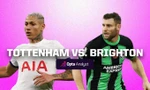 Nhận định Tottenham vs Brighton, 22h00 ngày 10/2: Bữa tiệc bóng đá