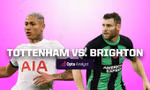 Nhận định Tottenham vs Brighton, 22h00 ngày 10/2: Bữa tiệc bóng đá