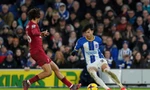 Nhận định Leicester vs Brighton, 22h00 21/1: Bay cùng ngôi sao Nhật Bản