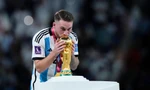 Nhà vô địch World Cup 100% rời Brighton, MU mở cờ trong bụng