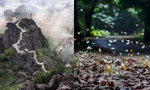 Điểm du lịch dịp nghỉ lễ gần Hà Nội: Săn bướm ở Cúc Phương, ngắm trọn đất trời ở Hang Múa