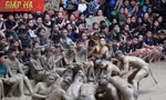 Nghìn người thích thú 'tắm bùn' khi cổ vũ hội vật cầu nước