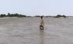 Một người lội giữa bãi bùn ở Port Sudan ngày 26/8. (Ảnh: Reuters)