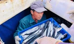 Các thuyền viên phấn khởi chuyển cá từ tàu lên bờ Ảnh: NN 